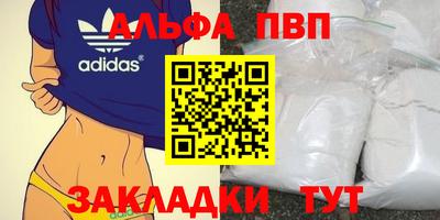 стафф Славгород